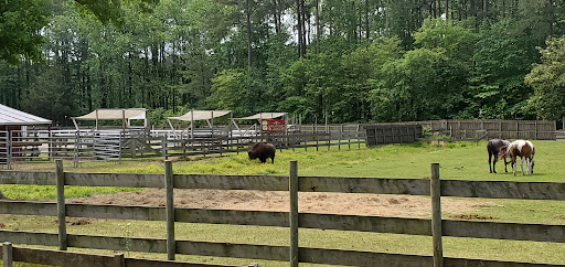 Theme Park «Frontier Town Western Theme Park», reviews and photos, 8428 Stephen Decatur Hwy, Berlin, MD 21811, USA
