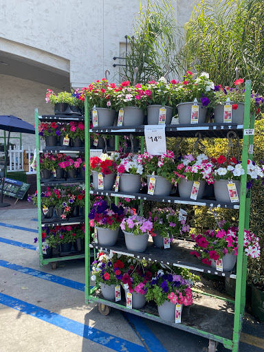 Lowes Home Improvement image