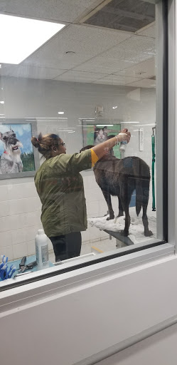 Pet Supply Store «Petco Animal Supplies», reviews and photos, 2965 Hempstead Turnpike, Levittown, NY 11756, USA