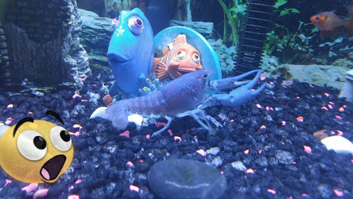 Pet Supply Store «Pet Supplies Plus», reviews and photos, 7041 Barker Cypress Rd, Cypress, TX 77433, USA