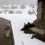 Photo n°2 de l'avis de Ia.qua.u fait le 12/03/2018 à 13:44 sur le  Hotel Pfösl à Deutschnofen