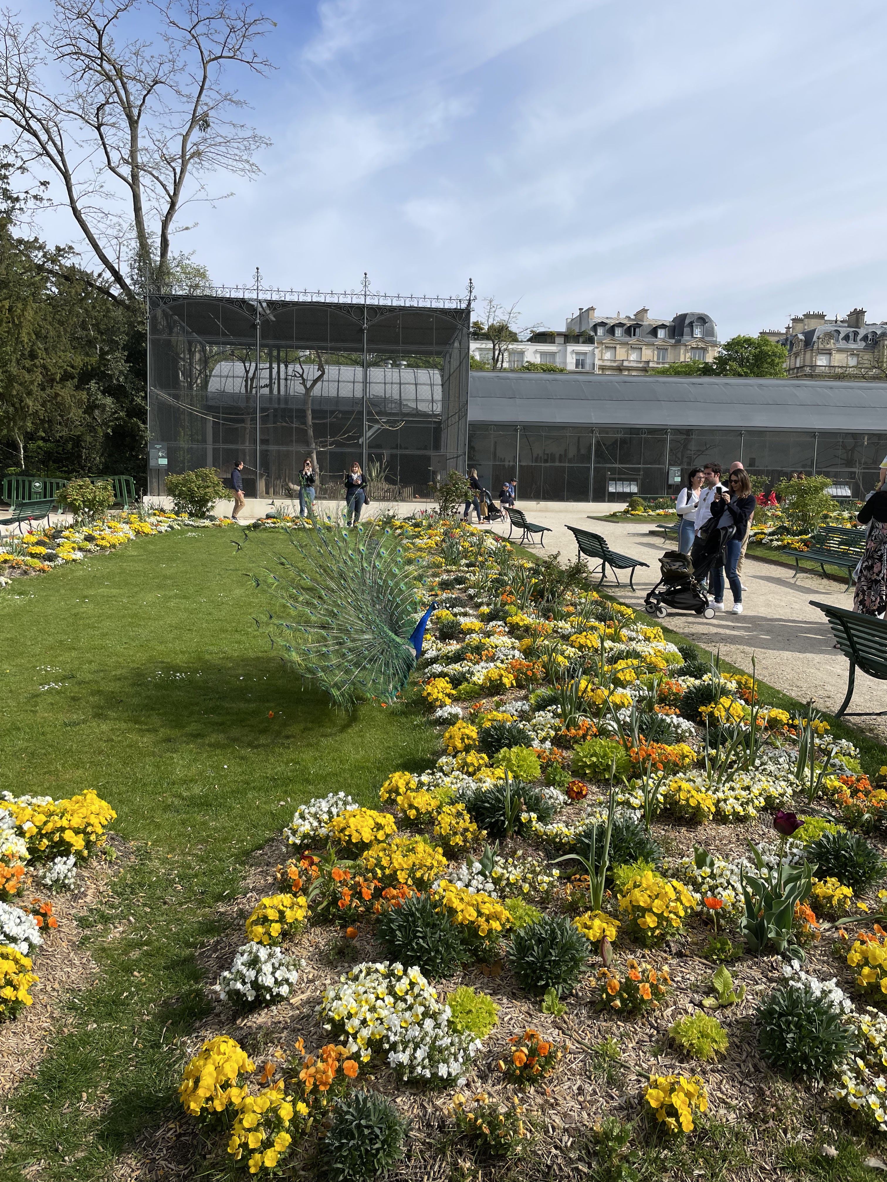 Photo n° 5 de l'avis de Stéphane.. fait le 26/04/2022 à 17:14