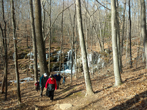 Tourist Attraction «Black Ledge Falls», reviews and photos, Hebron Ave, Glastonbury, CT 06033, USA