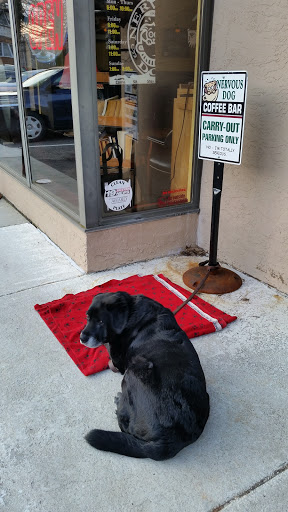 Coffee Shop «Nervous Dog Coffee Bar & Roaster», reviews and photos, 1530 W Market St, Akron, OH 44313, USA