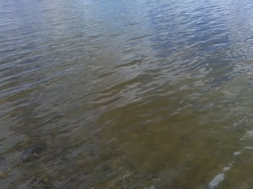 Arts Organization «Arts on the Lake», reviews and photos, 640 NY-52, Carmel, NY 10512, USA