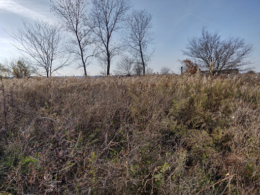 Nature Preserve «Audubon Center at Riverlands», reviews and photos, 301 Riverlands Way, West Alton, MO 63386, USA