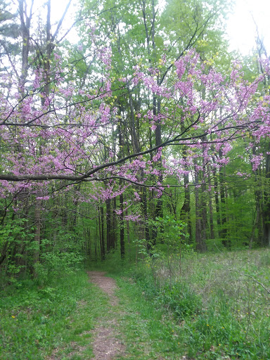 Nature Preserve «Kokiwanee Nature Preserve», reviews and photos, 5825 E 50 S, Lagro, IN 46941, USA