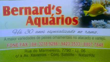 Bernard's AquáriosRua do marmeleiro, Av. dos Xavantes, 7790 - Lj. 06 -  Conj. Cidade Satélite, Natal - RN, 59067-570
