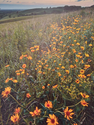 Movie Theater «AMC Eden Prairie Mall 18», reviews and photos, 8251 Flying Cloud Dr, Eden Prairie, MN 55344, USA