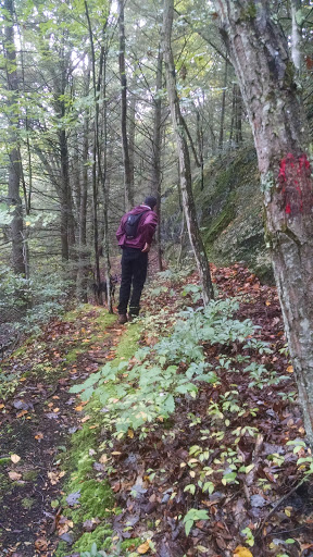 Golf Club «The Lynx at River Bend Golf Club», reviews and photos, 87 Neversink Dr, Port Jervis, NY 12771, USA