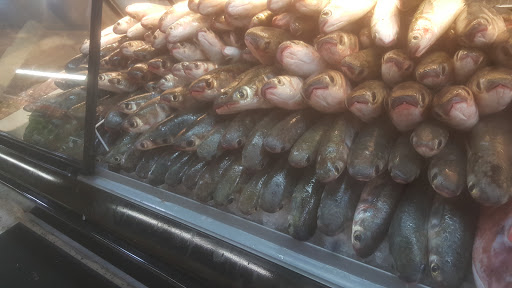 Grocery Store «Bravo Supermarkets», reviews and photos, 2668 Tamiami Trail E, Naples, FL 34112, USA