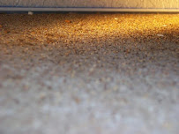 Termigone Exterminators - Photo 7 - Car repair in Anaheim, CA, Garden Grove