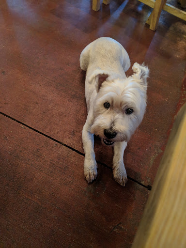 Winery «Backyard Barn Winery & Microbrewery», reviews and photos, 1945 E Co Rd 462, Wildwood, FL 34785, USA