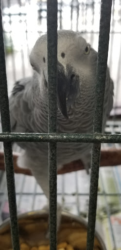 Pet Store «A Family Pet Center», reviews and photos, 6230 N Lockwood Ridge Rd, Sarasota, FL 34243, USA