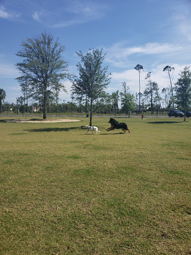 Park «Al Helms Dog Park», reviews and photos, 1022 Balboa Ave, Panama City, FL 32401, USA