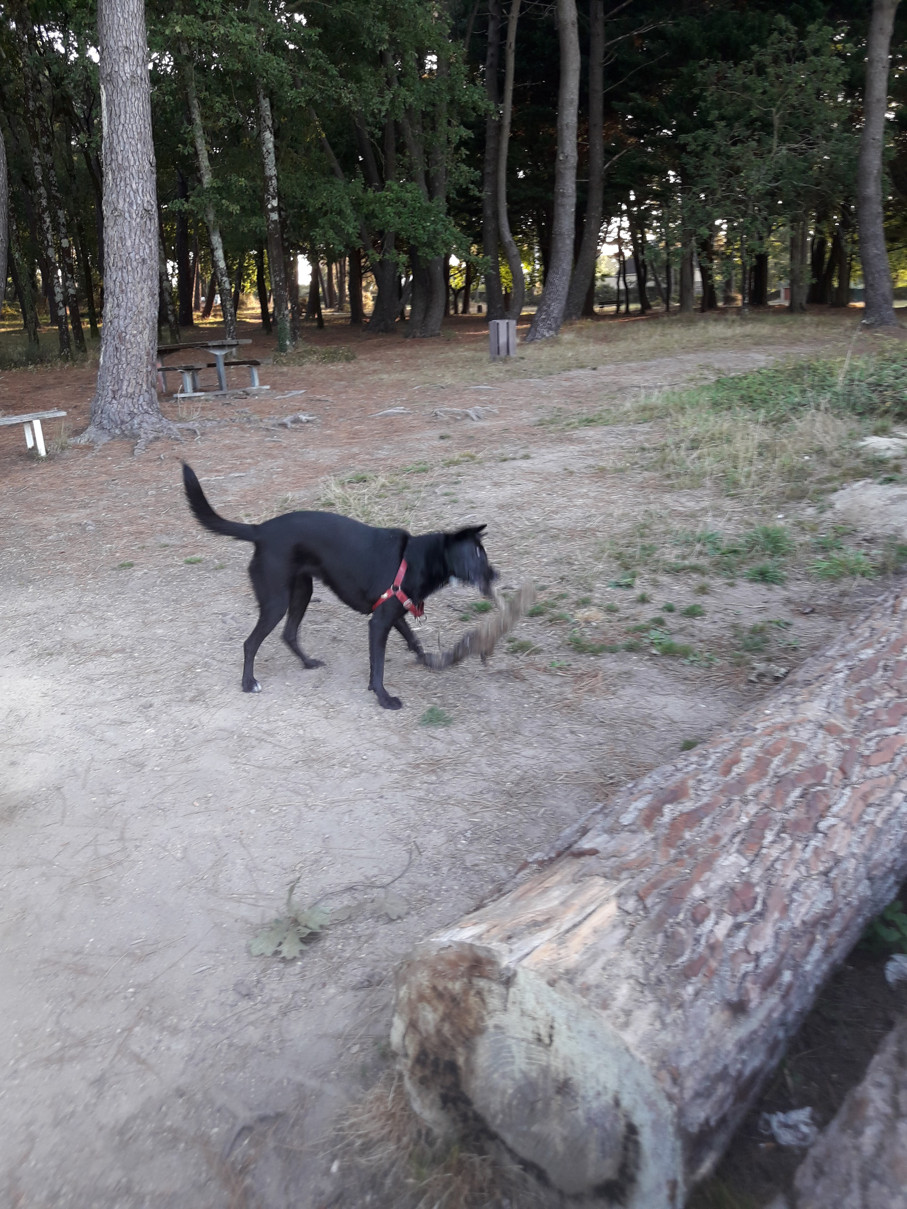 Photo n° 3 de l'avis de Isabelle.o fait le 13/10/2018 à 08:40