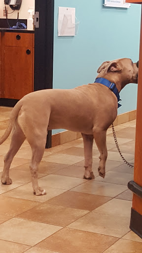 Pet Supply Store «PetSmart», reviews and photos, 3803 Venture Dr, Duluth, GA 30096, USA