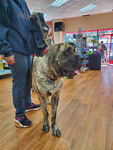 Pet Supply Store «Pet Supermarket», reviews and photos, 1080 Alafaya Trail, Oviedo, FL 32765, USA