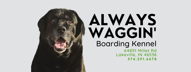 Always Waggin Boarding Kennel