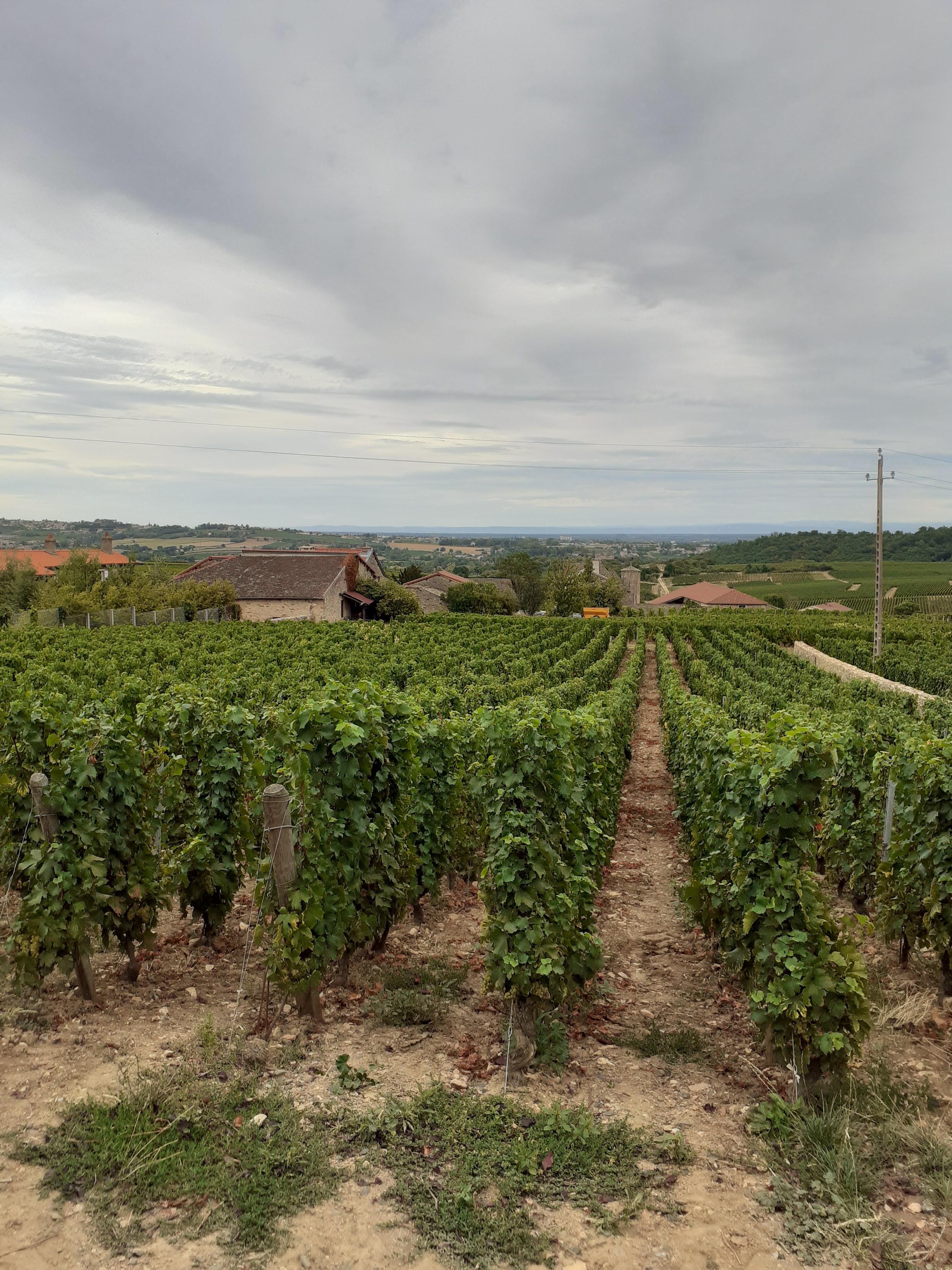 Photo n° 3 de l'avis de Joel.a fait le 28/08/2020 à 11:23