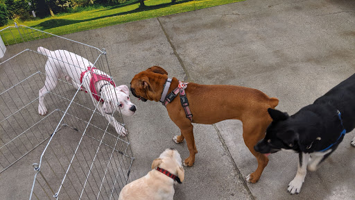 Pet Supply Store «Petco Animal Supplies», reviews and photos, 6020 Ball Rd, Buena Park, CA 90620, USA