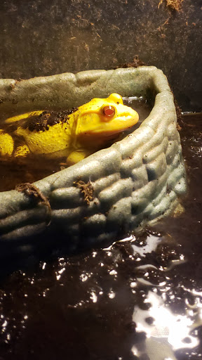 Pet Store «Lebanon Pet & Aquarium Center», reviews and photos, 196 S Main St, West Lebanon, NH 03784, USA