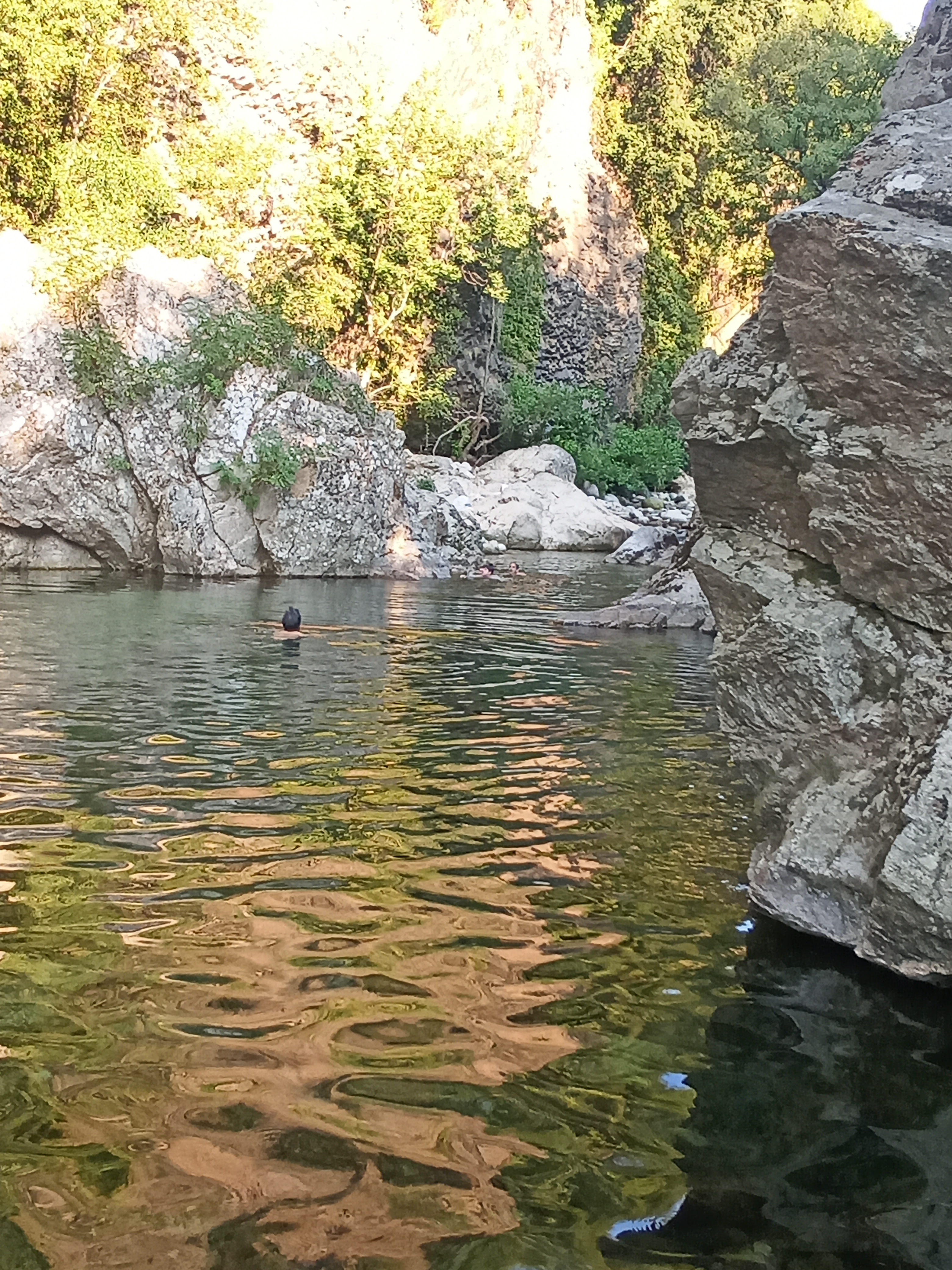 Photo n° 2 de l'avis de Joséfa.o fait le 15/08/2022 à 09:45