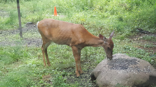 Park «Blacklick Woods Metro Park», reviews and photos, 6975 East Livingston Avenue, Reynoldsburg, OH 43068, USA