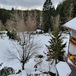 Photo n°4 de l'avis de F..l fait le 13/02/2022 à 23:49 sur le  Wellnesshotel Waldblick auf dem Kniebis à Freudenstadt