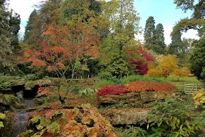 Batsford Arboretum and Garden Centre image