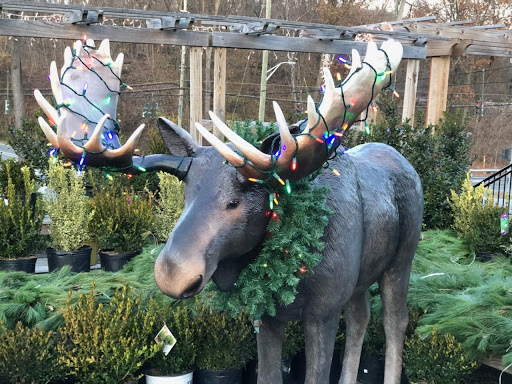 Garden Center «Hilltop Nursery & Garden Center», reviews and photos, 2028 Albany Post Rd, Croton-On-Hudson, NY 10520, USA