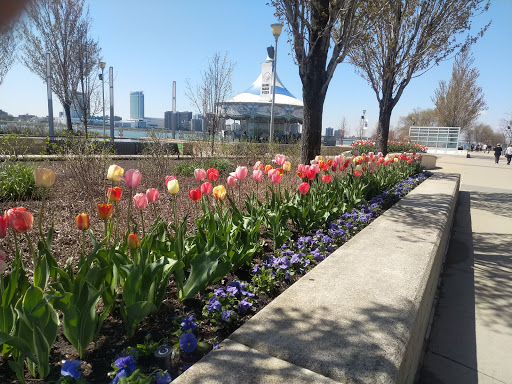 Convention Center «Cobo Center», reviews and photos, 1 Washington Blvd, Detroit, MI 48226, USA