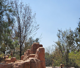 Zoo San Juan De Aragon photo