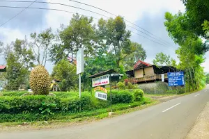 Kebun Durian Bromo Waturiti image