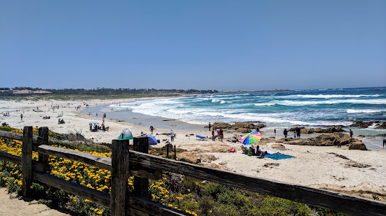 Asilomar Beach