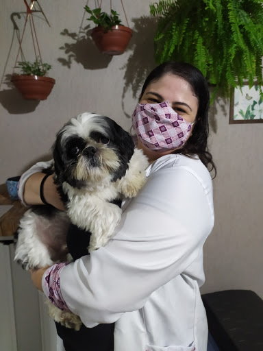 LoVet Clínica Veterinária e Estética Animal em São Bernardo do Campo - SP