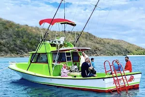 Simpatico Charters, on the Dragon Fruit - Snorkeling & Scuba Diving image