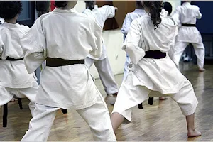 Karate Lyon Course Karate Children And Adults image