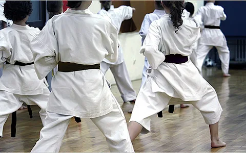 Karate Lyon Course Karate Children And Adults image