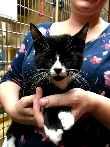 Pet Supply Store «PetSmart», reviews and photos, 157 Levittown Pkwy B, Levittown, PA 19055, USA