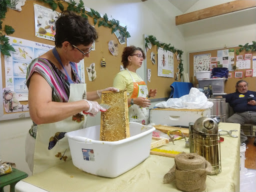 Museum «Voelker Orth Museum», reviews and photos, 14919 38th Ave, Flushing, NY 11354, USA