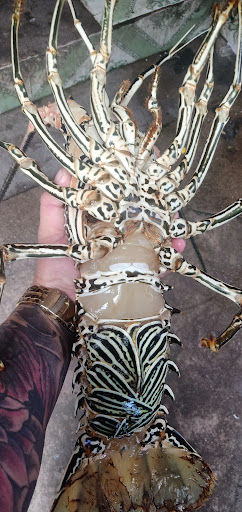 Top 20 cửa hàng akemi Huyện Lý Sơn Quảng Ngãi 2022