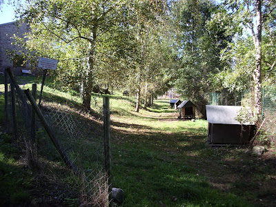 L'Eden des 4 Pattes à Serrières