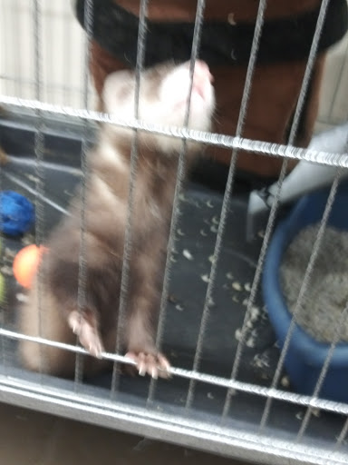 Pet Supply Store «Pet Supplies Plus», reviews and photos, 7236 Fishers Crossing Dr, Fishers, IN 46038, USA