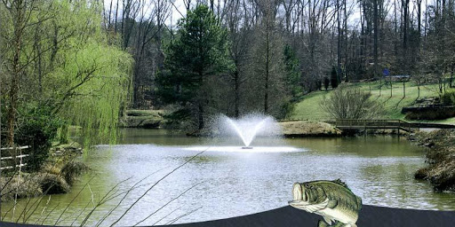 Southern Pond Management