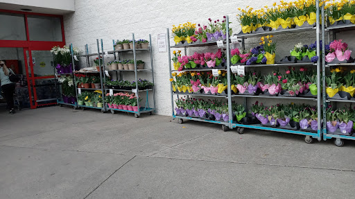 Warehouse club «BJ’s Wholesale Club», reviews and photos, 30 NJ-17, Paramus, NJ 07652, USA