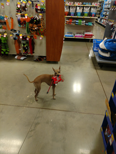 Pet Supply Store «PetSmart», reviews and photos, 1391 S Commons Dr, Myrtle Beach, SC 29588, USA