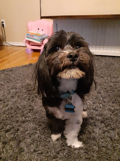 Pet Supply Store «Petco Animal Supplies», reviews and photos, 2210 N Eagle Rd, Meridian, ID 83646, USA