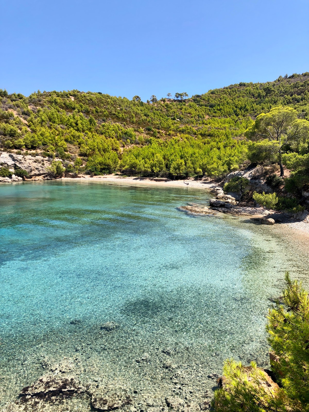 Φωτογραφία του Lovers Cove με βότσαλο επιφάνεια