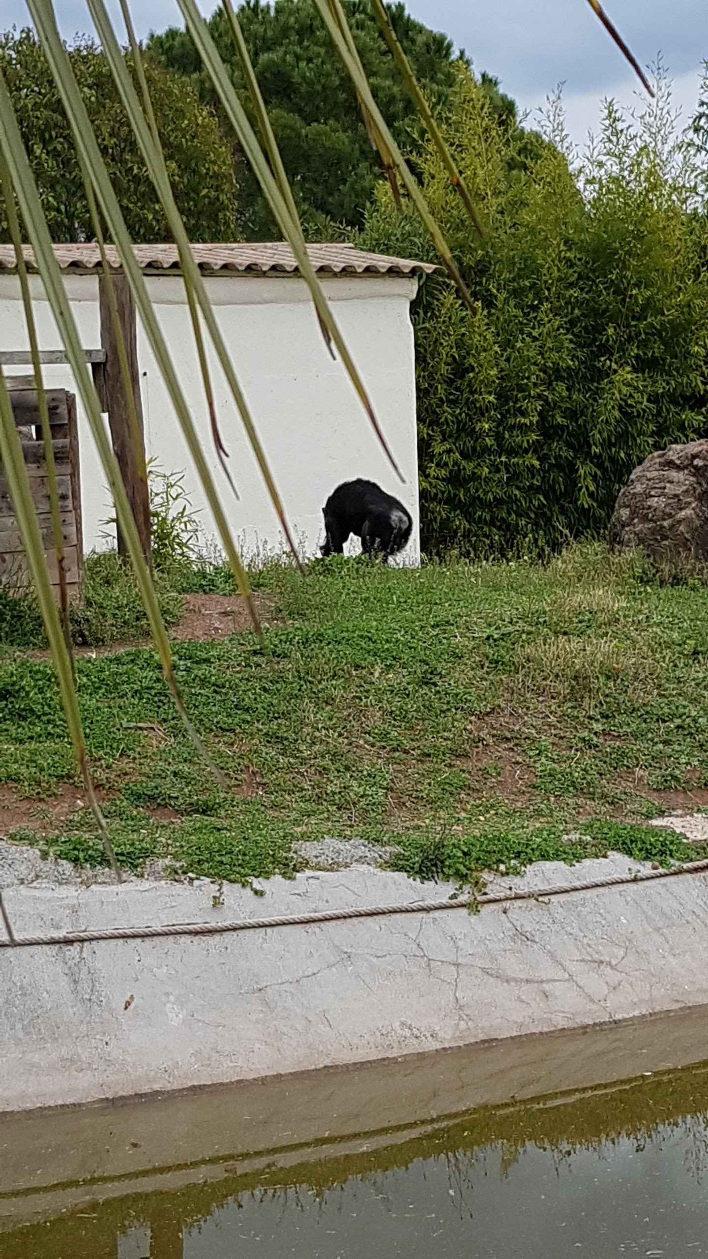 Photo n° 44 de l'avis de Isabelle.e fait le 16/04/2019 à 22:21